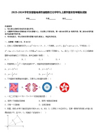 2023-2024学年安徽省亳州市涡阳县王元中学九上数学期末统考模拟试题含答案