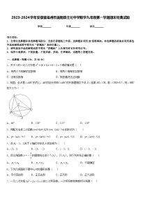 2023-2024学年安徽省亳州市涡阳县王元中学数学九年级第一学期期末经典试题含答案