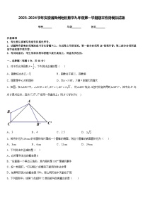 2023-2024学年安徽省滁州地区数学九年级第一学期期末检测模拟试题含答案