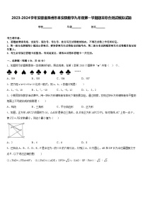 2023-2024学年安徽省滁州市来安县数学九年级第一学期期末综合测试模拟试题含答案