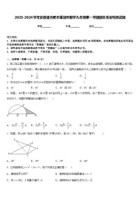 2023-2024学年安徽省合肥市巢湖市数学九年级第一学期期末质量检测试题含答案