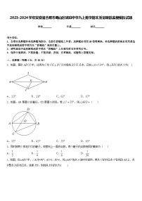 2023-2024学年安徽省合肥市蜀山区琥珀中学九上数学期末质量跟踪监视模拟试题含答案