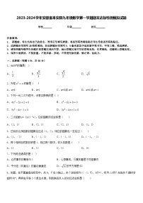 2023-2024学年安徽省来安县九年级数学第一学期期末达标检测模拟试题含答案