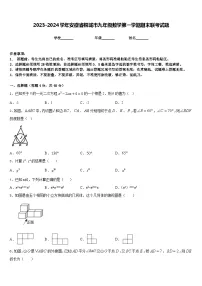 2023-2024学年安徽省桐城市九年级数学第一学期期末联考试题含答案