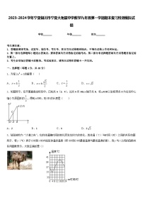 2023-2024学年宁夏银川市宁夏大附属中学数学九年级第一学期期末复习检测模拟试题含答案