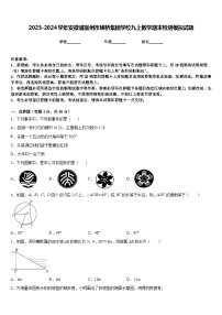 2023-2024学年安徽省宿州市埇桥集团学校九上数学期末检测模拟试题含答案