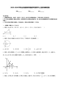 2023-2024学年山东省滨州市集团学校数学九上期末调研试题含答案