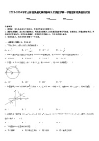 2023-2024学年山东省滨州无棣县联考九年级数学第一学期期末经典模拟试题含答案