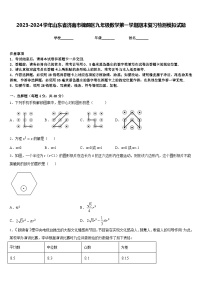 2023-2024学年山东省济南市槐荫区九年级数学第一学期期末复习检测模拟试题含答案