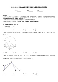 2023-2024学年山东省济南市济阳区九上数学期末检测试题含答案