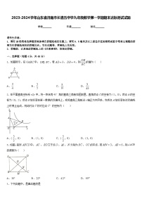 2023-2024学年山东省济南市长清五中学九年级数学第一学期期末达标测试试题含答案