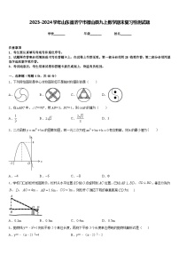 2023-2024学年山东省济宁市微山县九上数学期末复习检测试题含答案