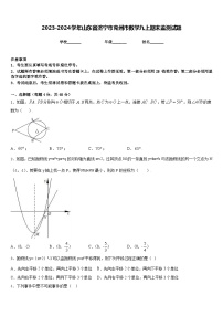 2023-2024学年山东省济宁市兖州市数学九上期末监测试题含答案