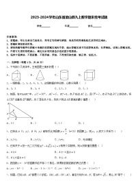 2023-2024学年山东省梁山县九上数学期末统考试题含答案