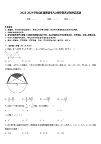 2023-2024学年山东省聊城市九上数学期末达标测试试题含答案