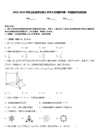 2023-2024学年山东省枣庄树人中学九年级数学第一学期期末检测试题含答案