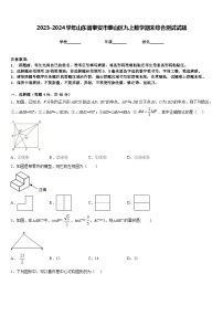 2023-2024学年山东省泰安市泰山区九上数学期末综合测试试题含答案