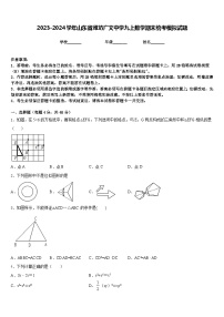 2023-2024学年山东省潍坊广文中学九上数学期末统考模拟试题含答案