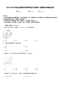 2023-2024学年山东省泰安市新泰市数学九年级第一学期期末统考模拟试题含答案