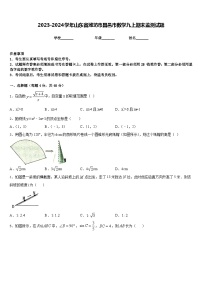 2023-2024学年山东省潍坊市昌邑市数学九上期末监测试题含答案