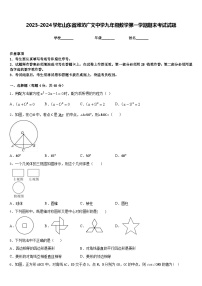 2023-2024学年山东省潍坊广文中学九年级数学第一学期期末考试试题含答案