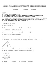 2023-2024学年山东省菏泽市东明县九年级数学第一学期期末教学质量检测模拟试题含答案