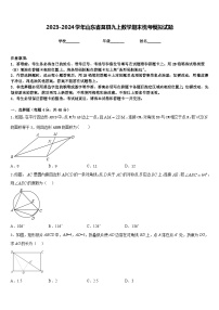 2023-2024学年山东省莒县九上数学期末统考模拟试题含答案