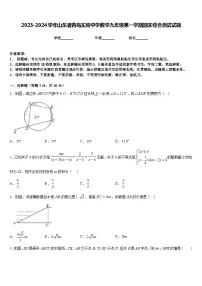 2023-2024学年山东省青岛实验中学数学九年级第一学期期末综合测试试题含答案