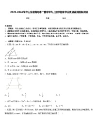 2023-2024学年山东省青岛市广雅中学九上数学期末学业质量监测模拟试题含答案