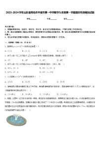 2023-2024学年山东省青岛市平度市第一中学数学九年级第一学期期末检测模拟试题含答案