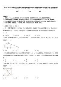 2023-2024学年山东省青岛市青岛大附属中学九年级数学第一学期期末复习检测试题含答案