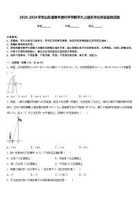 2023-2024学年山东省邹平唐村中学数学九上期末学业质量监测试题含答案