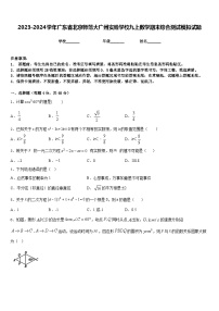 2023-2024学年广东省北京师范大广州实验学校九上数学期末综合测试模拟试题含答案