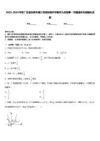 2023-2024学年广东省东莞市黄江育英初级中学数学九年级第一学期期末检测模拟试题含答案