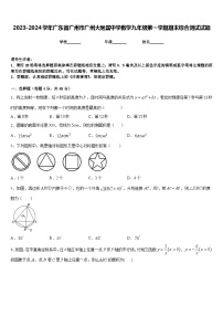 2023-2024学年广东省广州市广州大附属中学数学九年级第一学期期末综合测试试题含答案