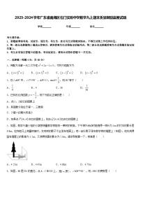 2023-2024学年广东省南海区石门实验中学数学九上期末质量跟踪监视试题含答案