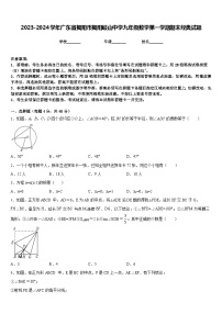 2023-2024学年广东省揭阳市揭阳岐山中学九年级数学第一学期期末经典试题含答案