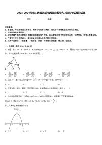 2023-2024学年山西省运城市芮城县数学九上期末考试模拟试题含答案