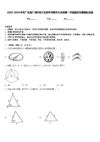 2023-2024学年广东省广州市育才实验中学数学九年级第一学期期末经典模拟试题含答案