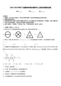 2023-2024学年广东省惠州市惠东县数学九上期末检测模拟试题含答案