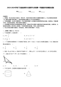 2023-2024学年广东省高州市九校数学九年级第一学期期末检测模拟试题含答案