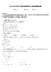 2023-2024学年广东省龙华新区数学九上期末经典模拟试题含答案