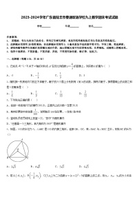 2023-2024学年广东省陆丰市春源双语学校九上数学期末考试试题含答案