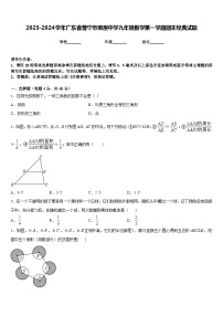 2023-2024学年广东省普宁市燎原中学九年级数学第一学期期末经典试题含答案