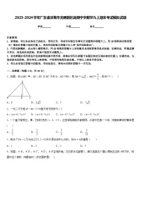 2023-2024学年广东省深圳市光明新区高级中学数学九上期末考试模拟试题含答案