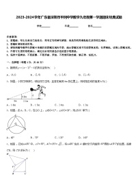 2023-2024学年广东省深圳市平冈中学数学九年级第一学期期末经典试题含答案