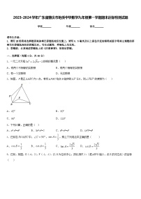 2023-2024学年广东省肇庆市地质中学数学九年级第一学期期末达标检测试题含答案