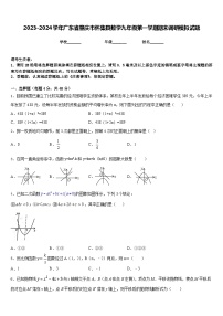 2023-2024学年广东省肇庆市怀集县数学九年级第一学期期末调研模拟试题含答案