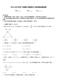 2023-2024学年广东省湛江市雷州市九上数学期末调研试题含答案