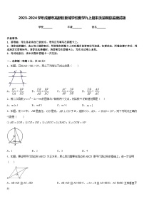 2023-2024学年成都市高新区新城学校数学九上期末质量跟踪监视试题含答案